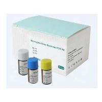 Kits d'extraction de billes magnétiques de détection de virus Monkeypox PCR